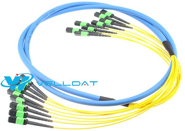  MTP/MPO fiber patch cord